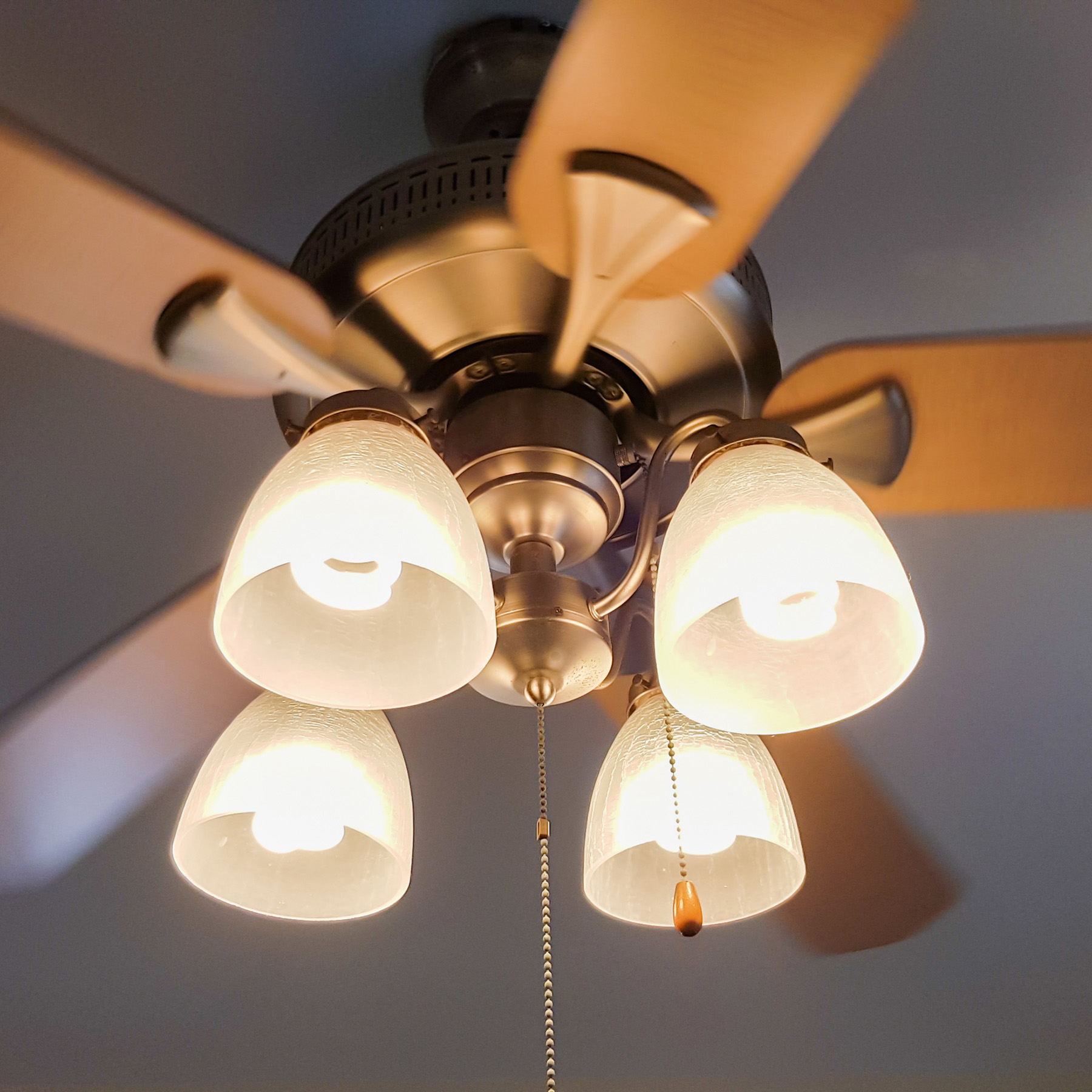 The image displays a ceiling fan with multiple lights, each encased in a white lamp shade, against a backdrop of a blue wall.