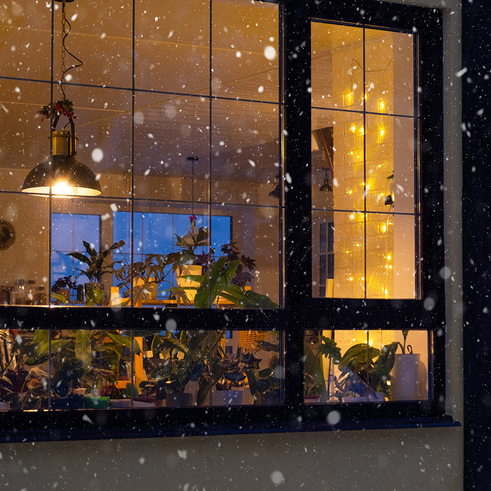 The image shows a snowy night scene with a window illuminated from inside, displaying an array of potted plants and a Christmas light decoration on the exterior wall.